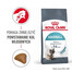 ROYAL CANIN Hairball Care 24x400 g karma sucha dla kotów dorosłych, eliminacja kul włosowych