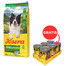 JOSERA Salmon and Potato Adult 12,5kg bezzbożowa karma dla psów z wrażliwym żołądkiem + JOSERA Meat Lovers Pure Multipack 6x400g mokra karma dla psów GRATIS