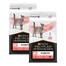 PURINA PRO PLAN Veterinary Diets Feline DM St/Ox Diabetes Management 2x5 kg sucha karma dla kotów z cukrzycą