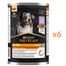 PURINA PRO PLAN Everyday Nutrition Adult Indyk 6x400g mokra karma dla psów