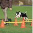 TRIXIE Dog Activity barjerai šunims trijų dalių rinkinys