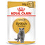 Royal Canin British Shorthair 85 g maisiņi 12 X 85 g