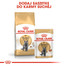 Royal Canin British Shorthair 85 g maišeliai 6 X 85 g