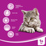 WHISKAS Adult hovězí 1.4kg