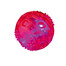 Trixie gumijas bumbiņa 5,5 cm