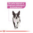 ROYAL CANIN Relax Care konservai 85 g