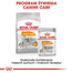 ROYAL CANIN Coat Care konservai 85 g