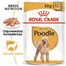 ROYAL CANIN Poodle Adult in Sobe 85 g šlapias šunų maistas suaugusiems šunims, pudeliams