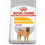 Royal Canin Medium Dermacomfort 10 kg