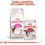 ROYAL CANIN Exigent Aromatic Attraction 33 sausā barība pieaugušiem, izvēlīgiem kaķiem, ar smaržu 4 kg