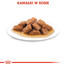 ROYAL CANIN Medium ageing 10+ 140 g