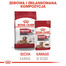 ROYAL CANIN Medium ageing 10+ 140 g