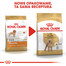ROYAL CANIN Poodle adult 3 kg sausā barība pieaugušiem miniatūrajiem pūdeļiem