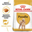 ROYAL CANIN Poodle adult 3 kg sausā barība pieaugušiem miniatūrajiem pūdeļiem