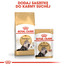 ROYAL CANIN Persian 10 kg + 2 kg dāvanā