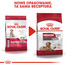 ROYAL CANIN Medium Ageing 10+ 3 kg sausā barība pieaugušiem suņiem, vecākiem par 10 gadiem, vidējām šķirnēm
