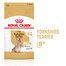 ROYAL CANIN Adult 50 g barība Jorkšīras terjeriem no 8 gadu vecuma