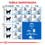 ROYAL CANIN Indoor Apetite Control 2 kg sausā barība pieaugušiem kaķiem, kas uzturas tikai telpās un kam nepieciešama barošana