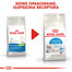 ROYAL CANIN Indoor Apetite Control 2 kg sausā barība pieaugušiem kaķiem, kas uzturas tikai telpās un kam nepieciešama barošana