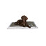 Trixie gultas Best Of All Breeds 120 x 80 rudas-smėlinis