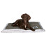 Trixie gultas Best Of All Breeds 120 x 80 rudas-smėlinis
