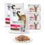 PERFECT FIT (Adult 1+) 2 x 750g maistas turtingas lašišu - sausas maistas suaugusioms katėms + konservai 12x85g - šlapias maistas katėms padaže (su vištiena ir žirneliais, su jautiena ir morkomis)