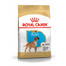 ROYAL CANIN Boxer Puppy Junior 24 kg (2 x 12 kg) sausas maistas šuniukams iki 15 mėnesių amžiaus, boksininko veislei