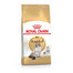 ROYAL CANIN Ragdoll adult 20 kg (2 x 10 kg) sausas maistas suaugusioms Ragdoll katėms
