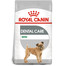 ROYAL CANIN CCN Mini Dental Care sausas maistas suaugusiesiems, mažoms veislėms, siekiant sumažinti dantų akmenų susidarymą 16 kg (2 x 8 kg)