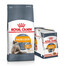 ROYAL CANIN Hair&Skin Care 10 kg + mitrā barība želejā Intense Beauty 12 x 85 g