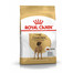 ROYAL CANIN Great Dane Adult sausas pašaras suaugusiems dogams 24 kg (2 x 12 kg)