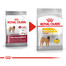 ROYAL CANIN CCN Medium Dermacomfort 20 kg (2 x 10 kg) sausas maistas suaugusiems vidutinės veislės šunims su jautria oda