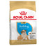 ROYAL CANIN Bulldog Puppy 24 kg (2 x 12 kg) sausas maistas šuniukams iki 12 mėnesių, anglų buldogų veislė