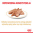 ROYAL CANIN Pomeranian Adult 85g mitrā barība, pastēte pieaugušiem punduršpiciem