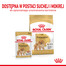 ROYAL CANIN Pomeranian Adult 85g mitrā barība, pastēte pieaugušiem punduršpiciem