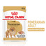 ROYAL CANIN Pomeranian Adult 85g mitrā barība, pastēte pieaugušiem punduršpiciem
