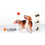 LIKER Dog toy suņu bumbiņa 7 cm