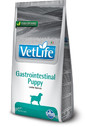 FARMINA VetLife Dog Puppy Gastrointestinal Puppy kucēnu diētiskā barība 12 kg