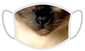 FERA Sejas maska Siāmas kaķis