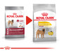 Royal Canin Medium Dermacomfort 10 kg
