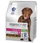 PERFECT FIT Adult 1+ sausā pilnvērtīgā barība pieaugušiem lielo šķirņu suņiem ar augstu vistas gaļas saturu 2,6 kg