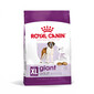 ROYAL CANIN Giant Adult 15kg sausā barība pieaugušiem suņiem, no 18/24 mēnešiem, milzu šķirnēm