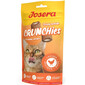 Crunchies Chicken 60 g chrupiące przysmaki z kurczakiem dla kotów