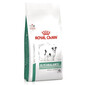 ROYAL CANIN VHN Dog Glycobalance Small 8 kg dietetyczna karma dla psów ras małych z cukrzycą