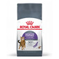 ROYAL CANIN Indoor Apetite Control 400 kg sausā barība pieaugušiem kaķiem, kas uzturas tikai telpās un kam ir tendence pārēsties